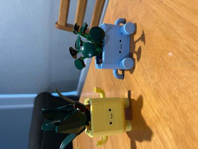 IMG_6808.jpeg